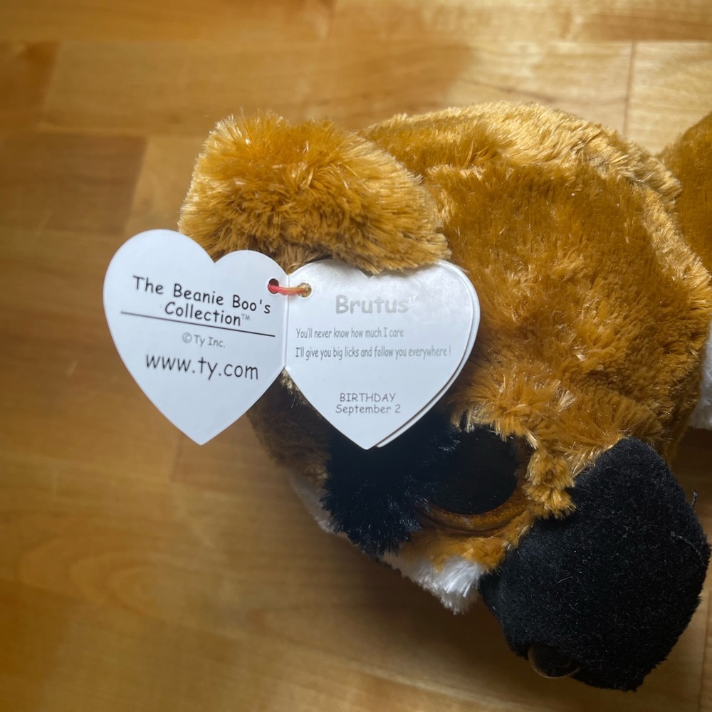 NWT Ty Beanie Boos Buddy BRUTUS Boxer Dog Medium-9 Inch - Picture 8 of 11